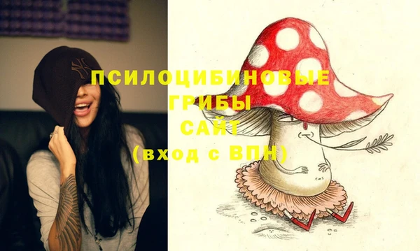 МДПВ Армянск